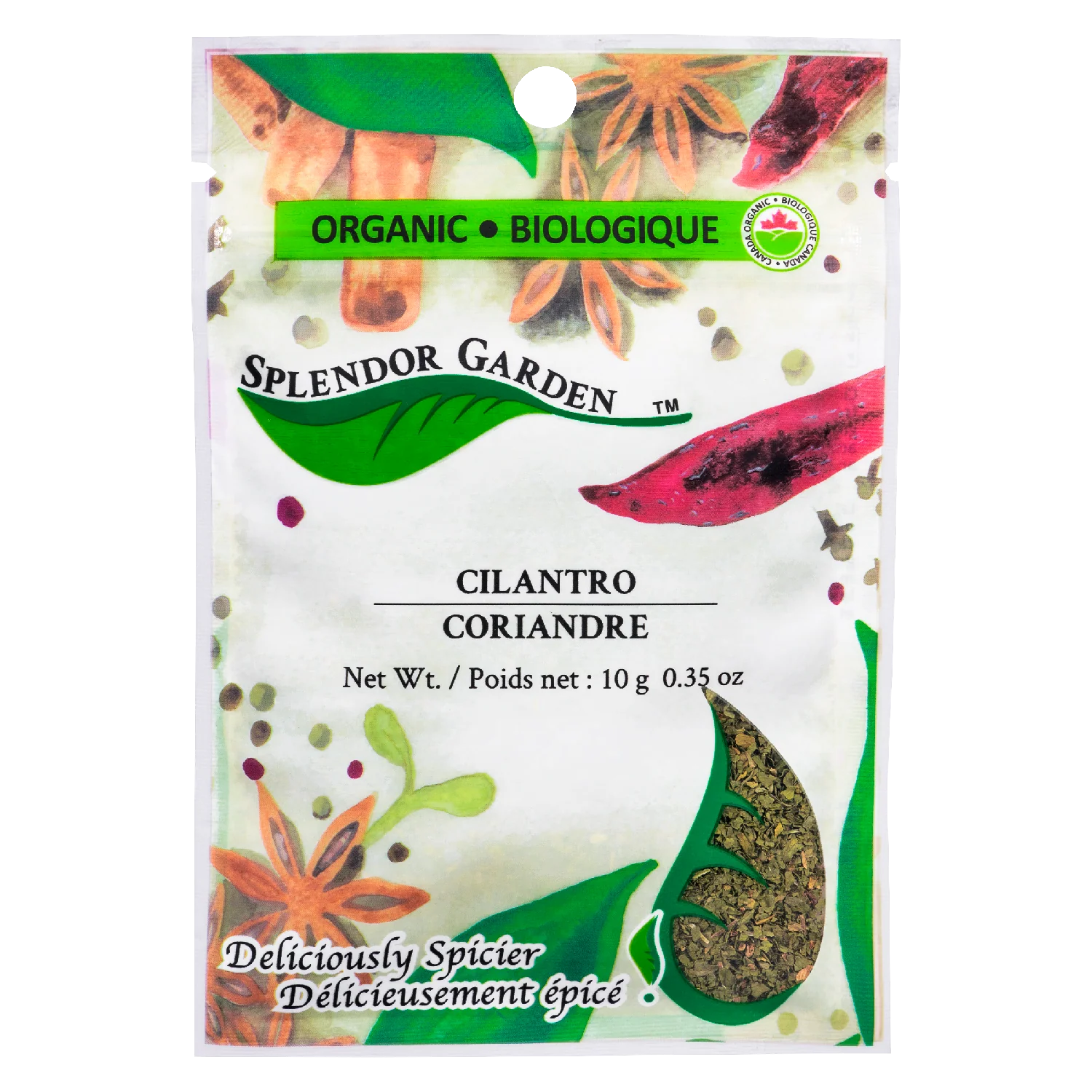 Cilantro - Image 2