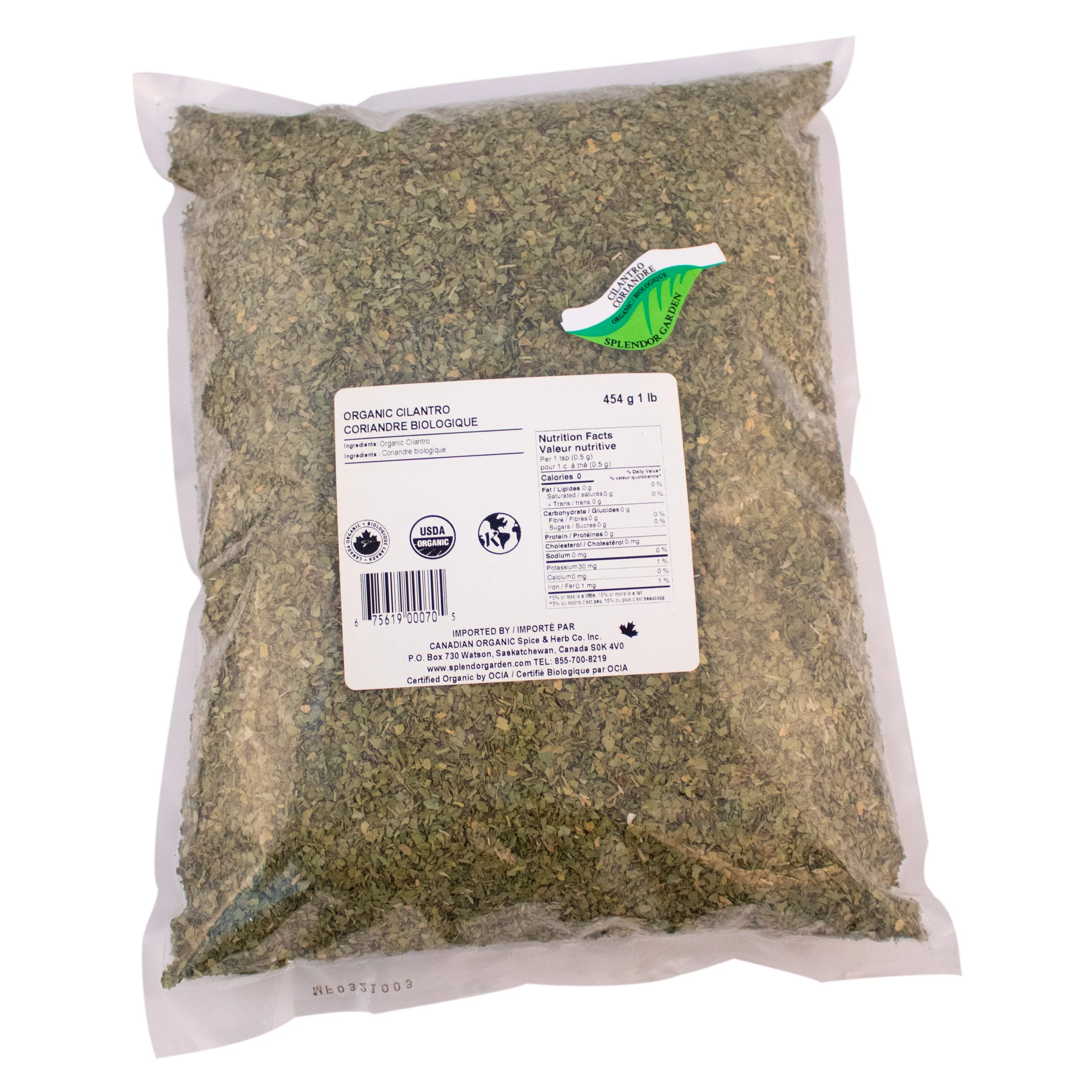 Cilantro - Image 3