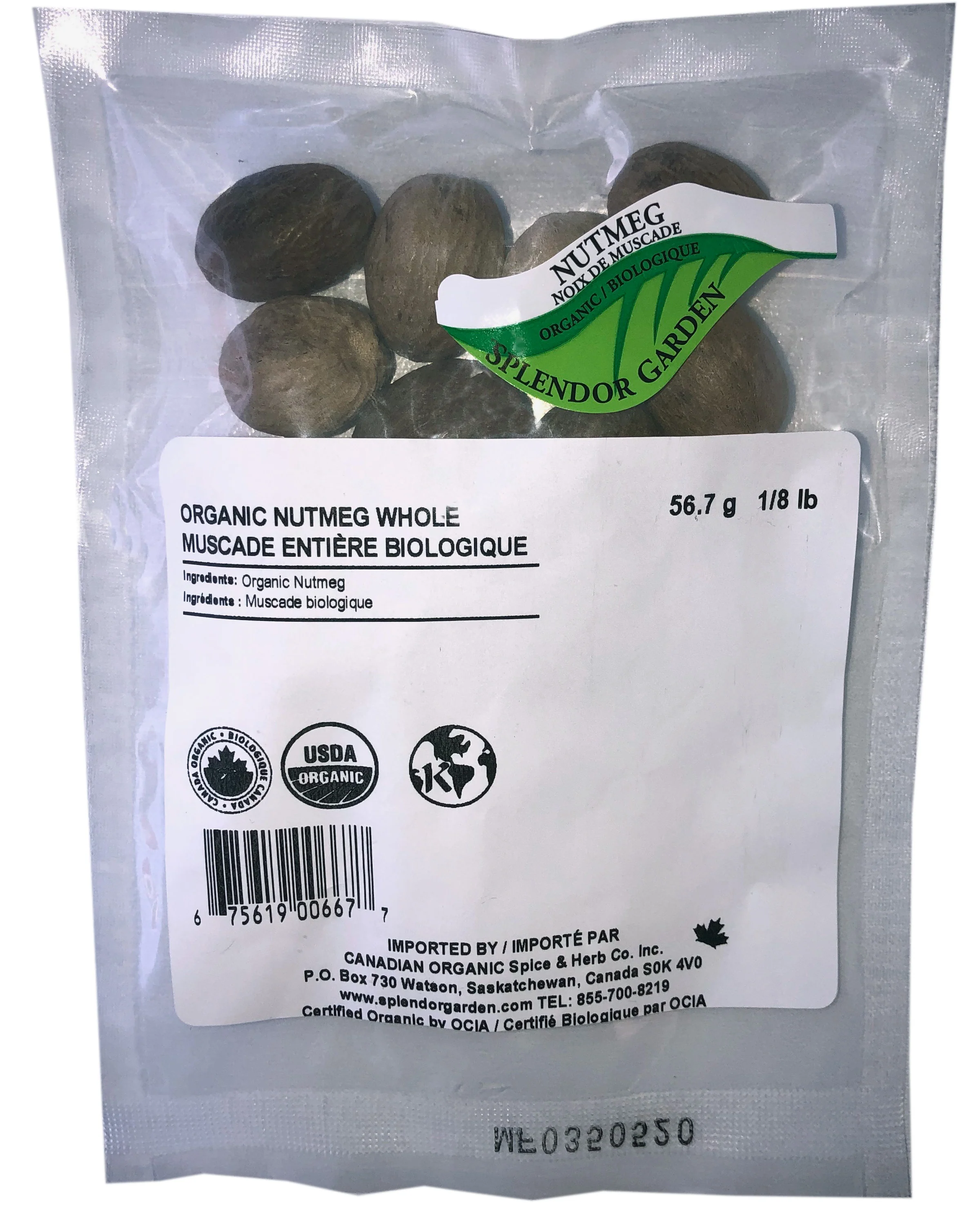 Nutmeg Whole - Image 2