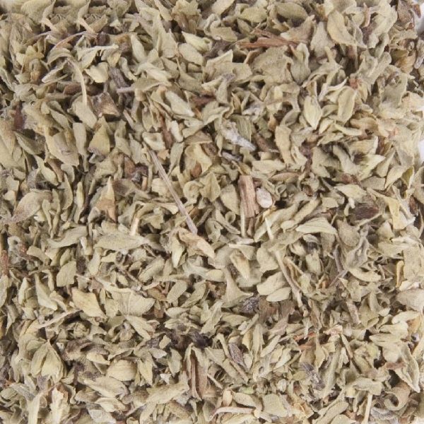 Oregano