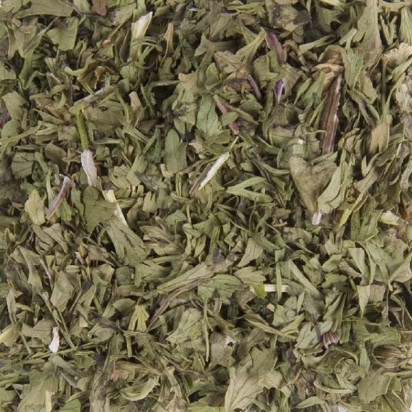 Wholesale Cilantro