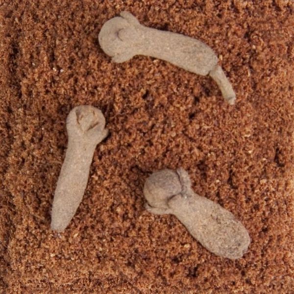 Wholesale Cloves Ground