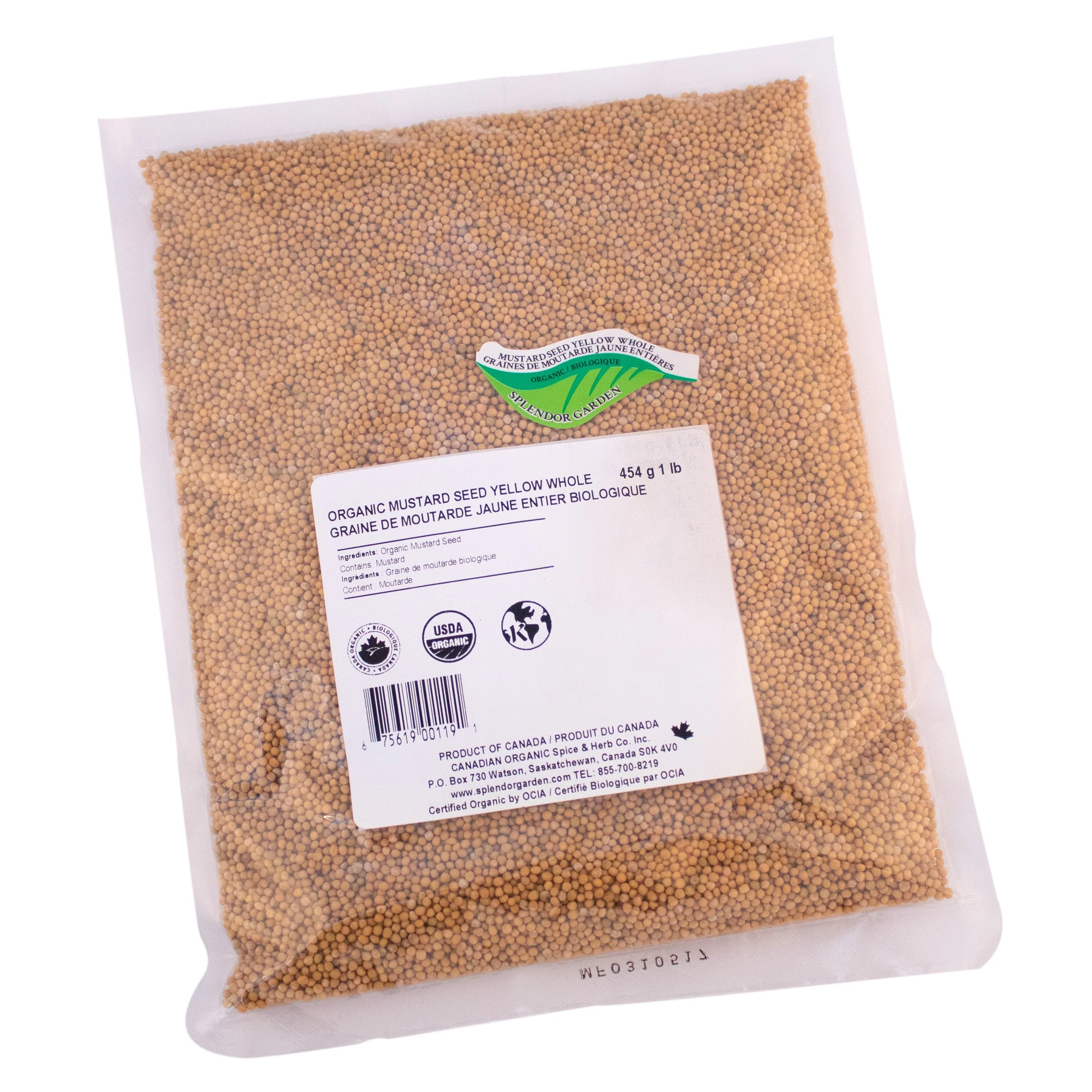 Wholesale Mustard Seed Yellow, Whole - Image 2