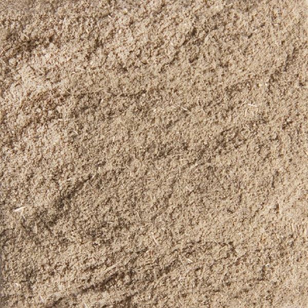 Wholesale Sage Ground