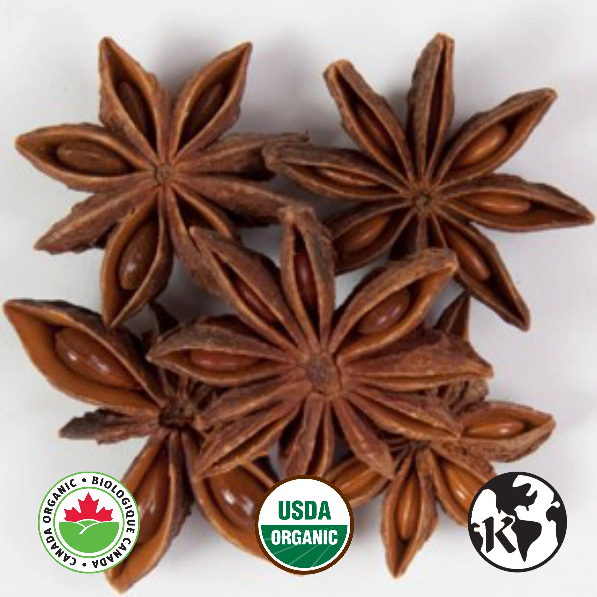 Wholesale Star Anise Whole